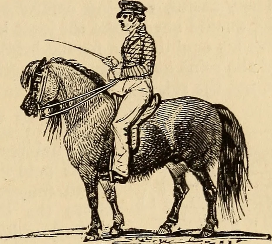 An illustration from Athletic sports and recreations for boys.., 1861, leaf 118