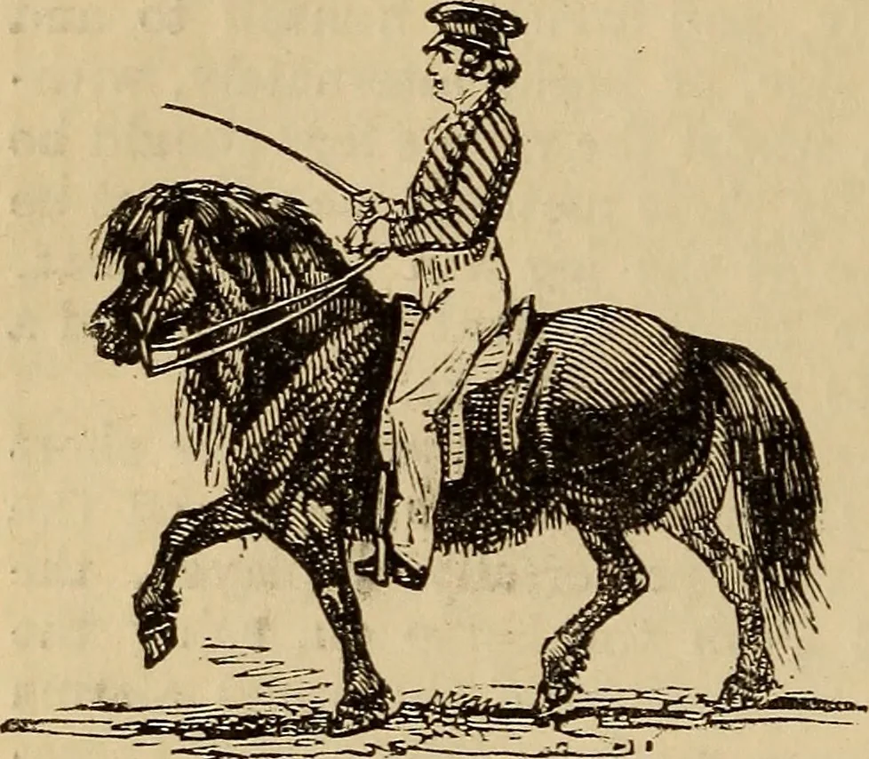 An illustration from Athletic sports and recreations for boys.., 1861, leaf 125