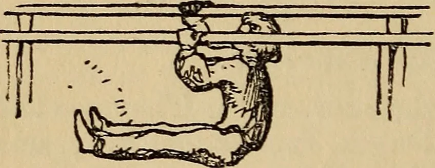 An illustration from Athletic sports and recreations for boys.., 1861, leaf 39