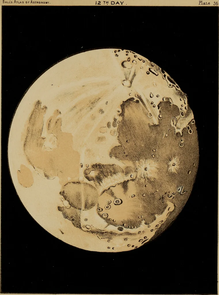 An illustration from An atlas of astronomy; a series of seventy-two plates, with introduction and index, 1892, leaf 156