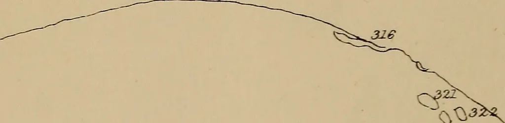 An illustration from An atlas of astronomy; a series of seventy-two plates, with introduction and index, 1892, leaf 163