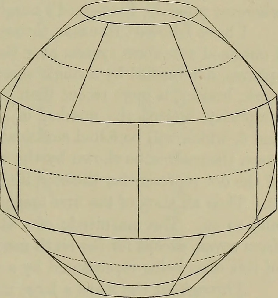 An illustration from An atlas of astronomy; a series of seventy-two plates, with introduction and index, 1892, leaf 54