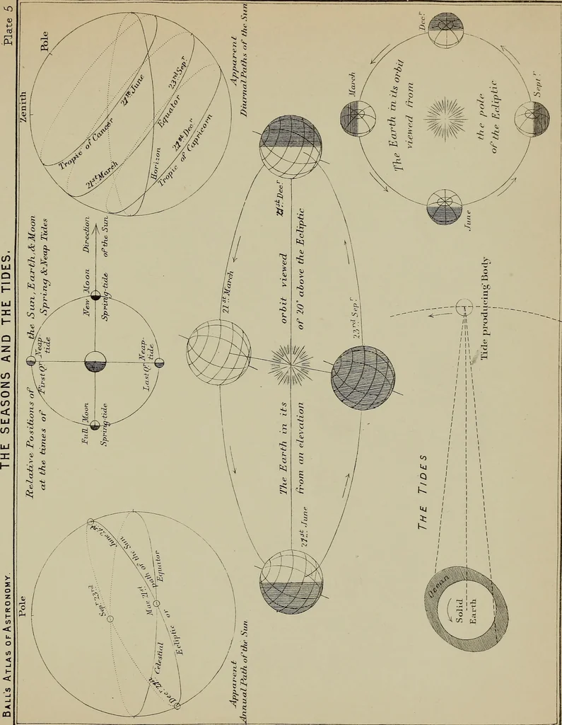An illustration from An atlas of astronomy; a series of seventy-two plates, with introduction and index, 1892, leaf 82