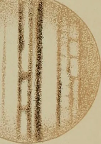 An illustration from An atlas of astronomy; a series of seventy-two plates, with introduction and index, 1892, leaf 90