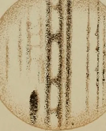 An illustration from An atlas of astronomy; a series of seventy-two plates, with introduction and index, 1892, leaf 90