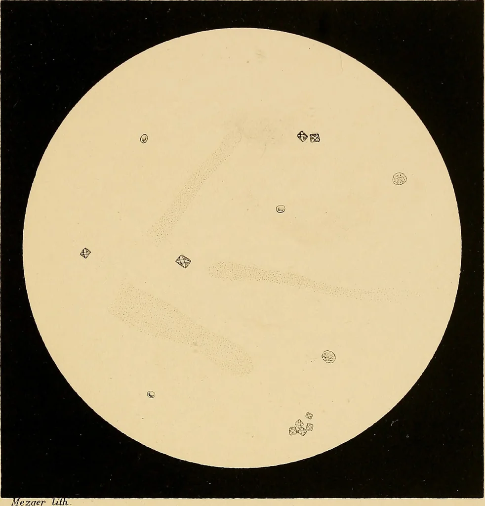 An illustration from An atlas of clinical microscopy, 1885, leaf 158
