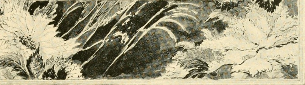 An illustration from Atlina, queen of the floating isle, 1893, leaf 12