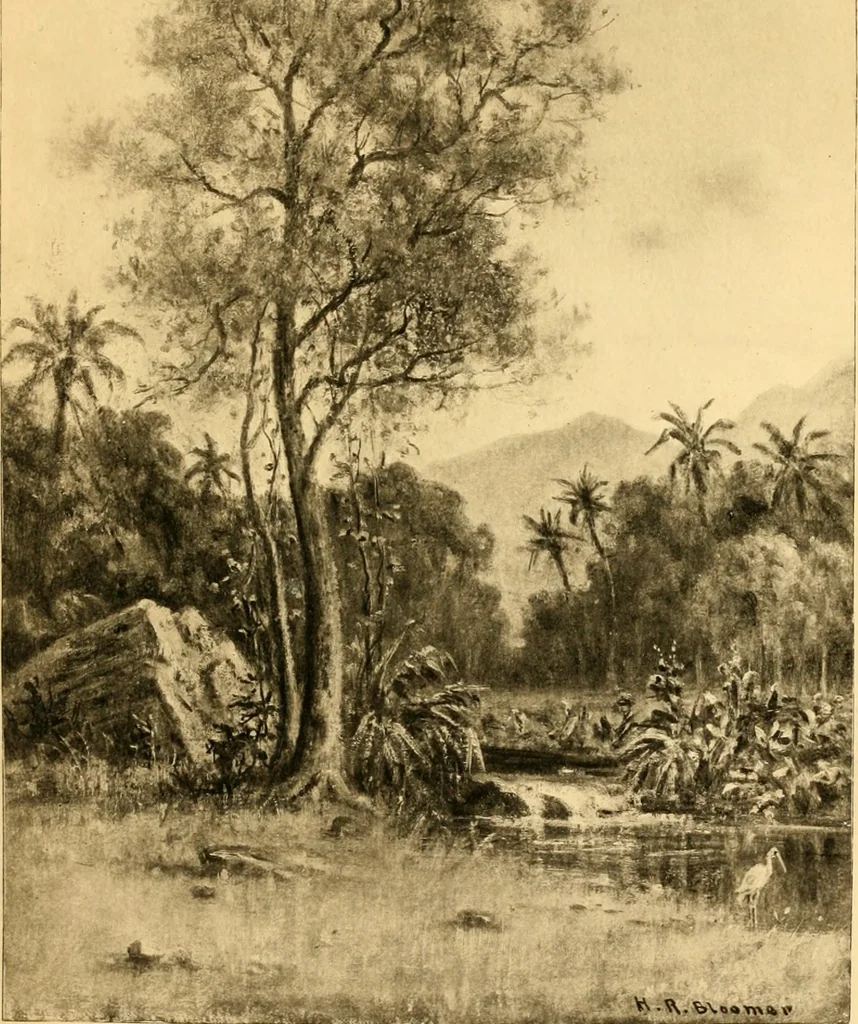An illustration from Atlina, queen of the floating isle, 1893, leaf 18
