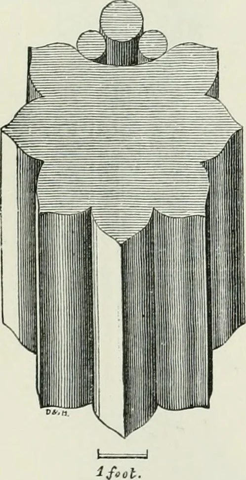 An illustration from An attempt to discriminate the styles of architecture in England, from the conquest to the reformation : with a sketch of the Grecian and Roman orders, 1881, leaf 164