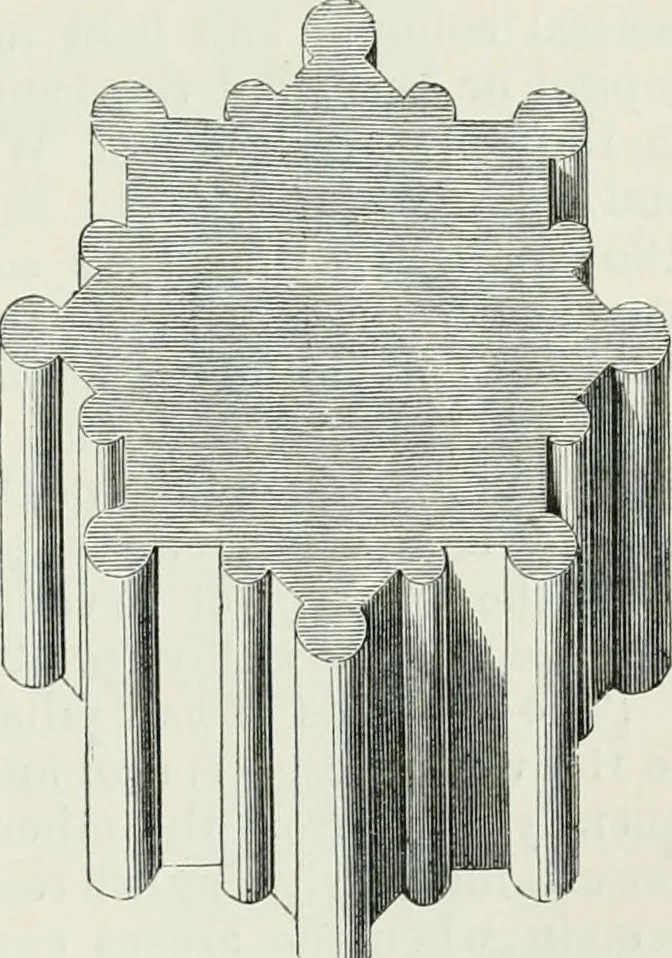 An illustration from An attempt to discriminate the styles of architecture in England, from the conquest to the reformation : with a sketch of the Grecian and Roman orders, 1881, leaf 164
