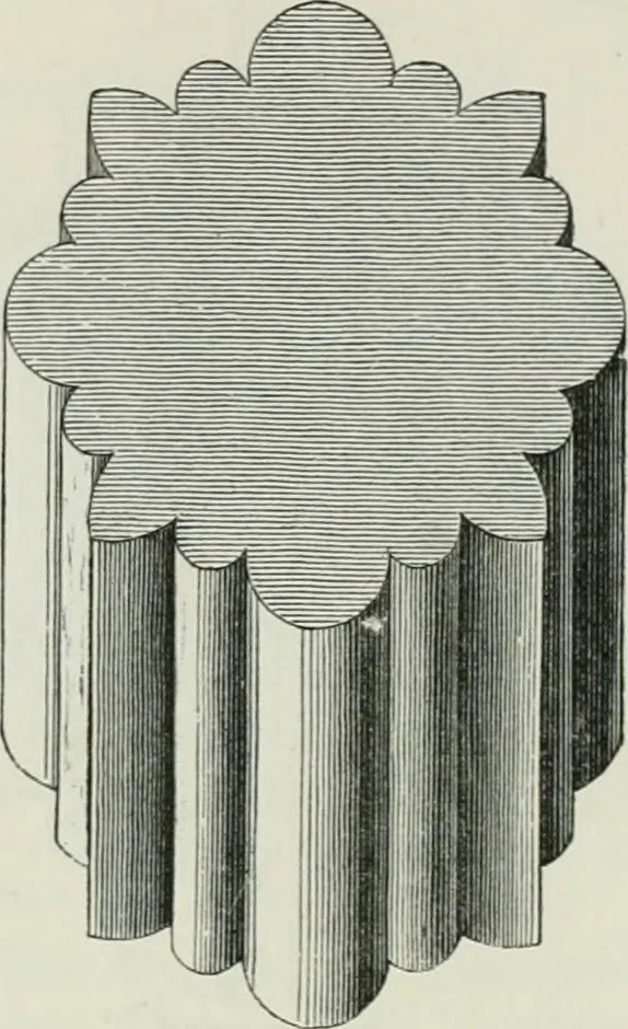 An illustration from An attempt to discriminate the styles of architecture in England, from the conquest to the reformation : with a sketch of the Grecian and Roman orders, 1881, leaf 165
