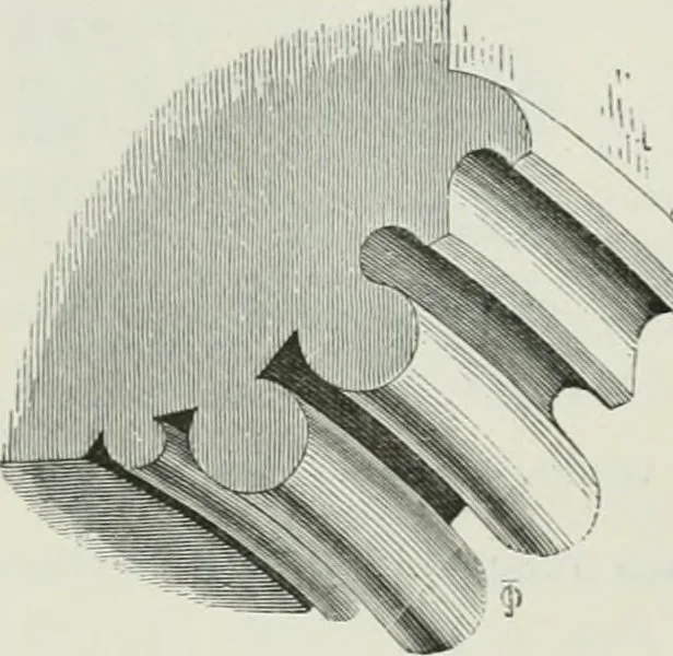 An illustration from An attempt to discriminate the styles of architecture in England, from the conquest to the reformation : with a sketch of the Grecian and Roman orders, 1881, leaf 173