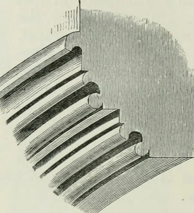 An illustration from An attempt to discriminate the styles of architecture in England, from the conquest to the reformation : with a sketch of the Grecian and Roman orders, 1881, leaf 173