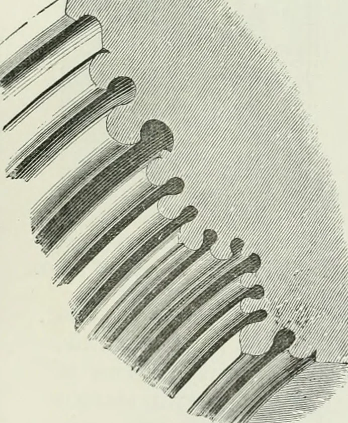 An illustration from An attempt to discriminate the styles of architecture in England, from the conquest to the reformation : with a sketch of the Grecian and Roman orders, 1881, leaf 174