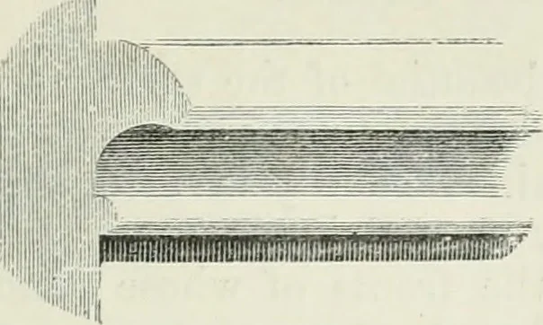 An illustration from An attempt to discriminate the styles of architecture in England, from the conquest to the reformation : with a sketch of the Grecian and Roman orders, 1881, leaf 258