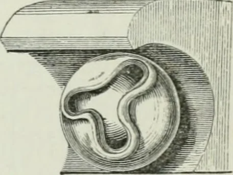 An illustration from An attempt to discriminate the styles of architecture in England, from the conquest to the reformation : with a sketch of the Grecian and Roman orders, 1881, leaf 263