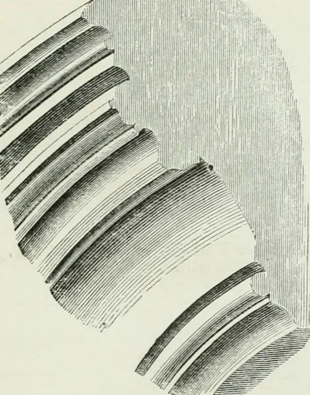 An illustration from An attempt to discriminate the styles of architecture in England, from the conquest to the reformation : with a sketch of the Grecian and Roman orders, 1881, leaf 264