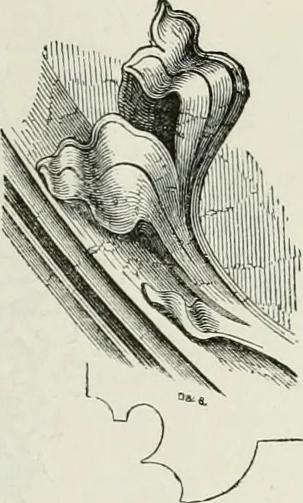 An illustration from An attempt to discriminate the styles of architecture in England, from the conquest to the reformation : with a sketch of the Grecian and Roman orders, 1881, leaf 268