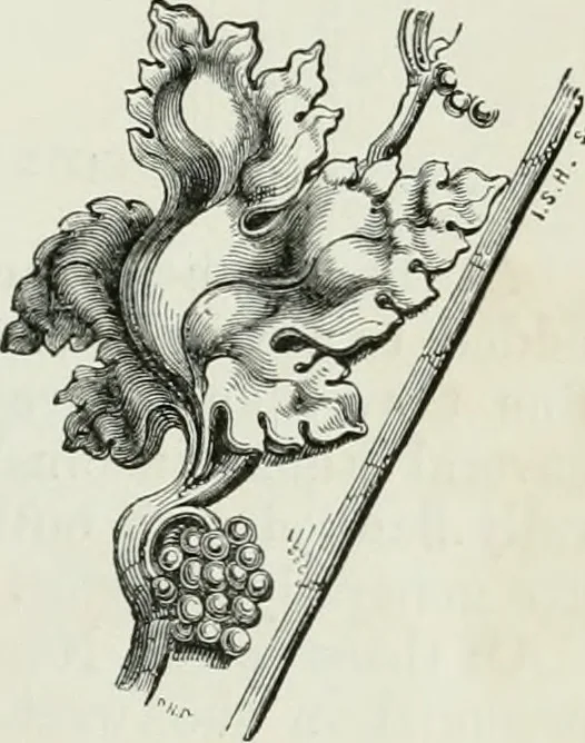 An illustration from An attempt to discriminate the styles of architecture in England, from the conquest to the reformation : with a sketch of the Grecian and Roman orders, 1881, leaf 268