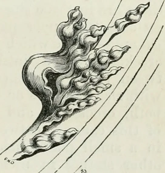 An illustration from An attempt to discriminate the styles of architecture in England, from the conquest to the reformation : with a sketch of the Grecian and Roman orders, 1881, leaf 268