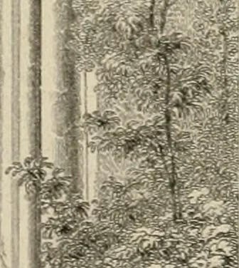 An illustration from An attempt to discriminate the styles of architecture in England, from the conquest to the reformation : with a sketch of the Grecian and Roman orders, 1881, leaf 332