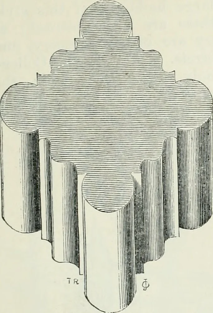 An illustration from An attempt to discriminate the styles of architecture in England, from the conquest to the reformation : with a sketch of the Grecian and Roman orders, 1881, leaf 336