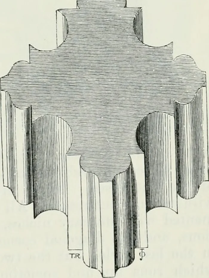 An illustration from An attempt to discriminate the styles of architecture in England, from the conquest to the reformation : with a sketch of the Grecian and Roman orders, 1881, leaf 336
