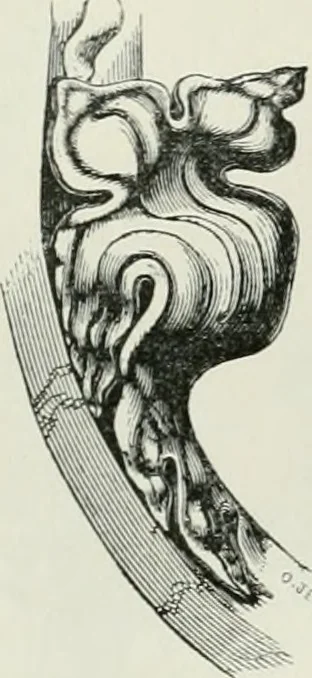An illustration from An attempt to discriminate the styles of architecture in England, from the conquest to the reformation : with a sketch of the Grecian and Roman orders, 1881, leaf 348