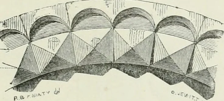 An illustration from An attempt to discriminate the styles of architecture in England, from the conquest to the reformation : with a sketch of the Grecian and Roman orders, 1881, leaf 84