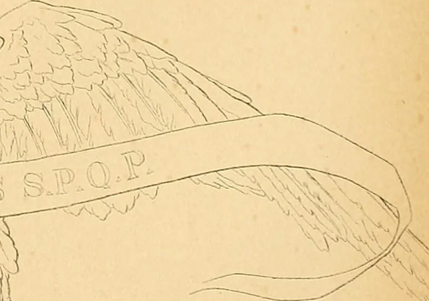 An illustration from Atti della Accademia di scienze, lettere e arti di Palermo., 1845, leaf 102