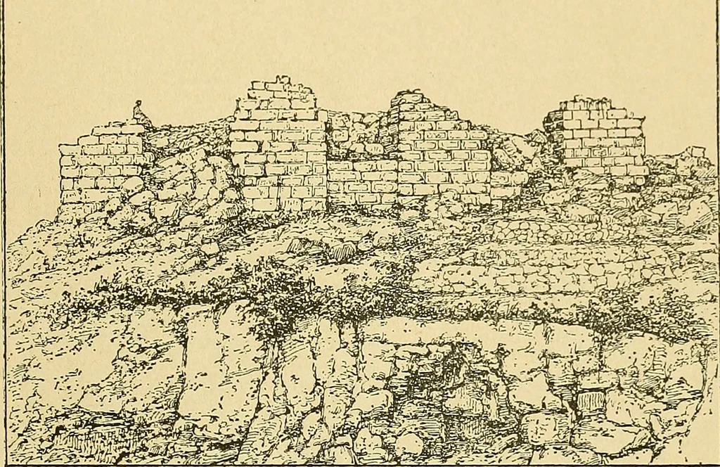 An illustration from Atti della Accademia di scienze, lettere e arti di Palermo., 1845, leaf 512