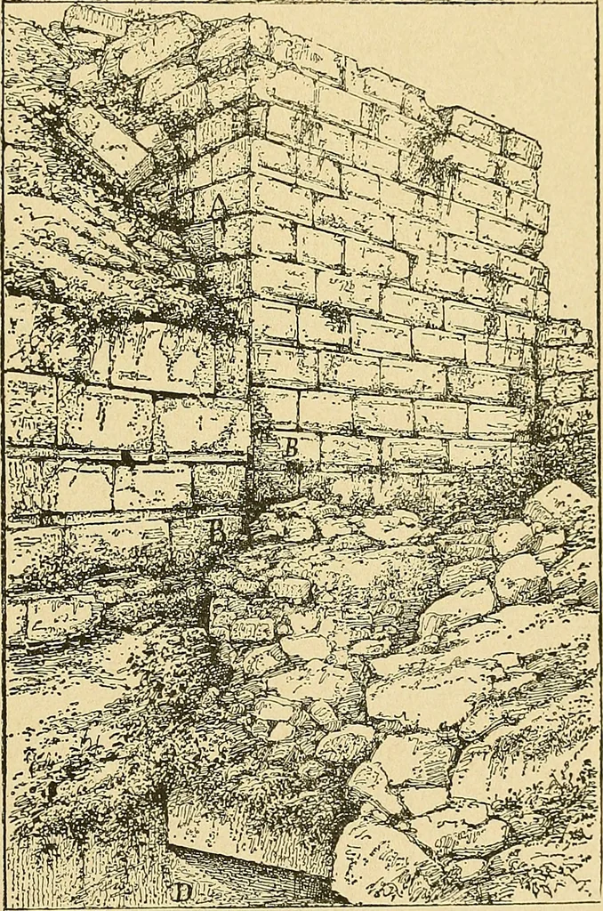 An illustration from Atti della Accademia di scienze, lettere e arti di Palermo., 1845, leaf 514
