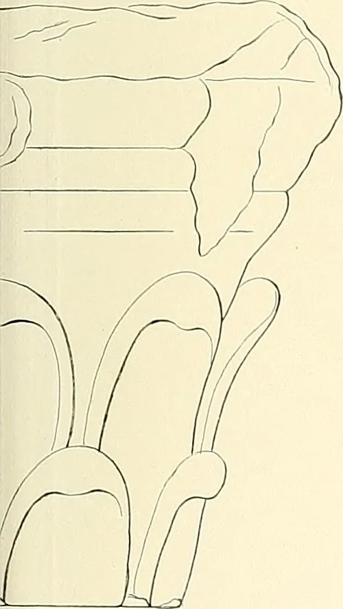 An illustration from Atti della Accademia di scienze, lettere e arti di Palermo., 1845, leaf 322
