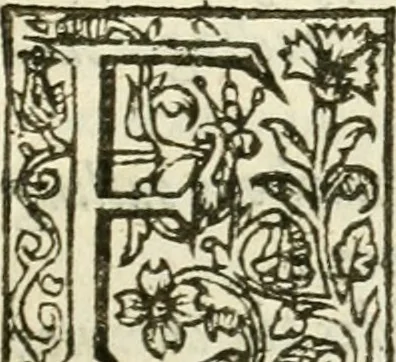 An illustration from The attourneys academy; or, The manner and forme of proceeding practically, vpon any suite, plaint, or action whatsoeuer, in any court of record whatsoeuer, within this kingdome, especially in the great covrts at Westminster, to whose motion all other courts of law or equitie; as well those of the two prouinciall counsailes, those of Guild-Hall, London; as those of like cities and townes corporate. And all other of record are diurnally moued. With the moderne and most usuall fees of the officers and ministers of such courts .., 1623, leaf 16