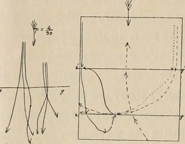 An illustration from Attractions & oscillations des animaux marines sous l'influence de la lumière. Recherches nouvelles relatives au phototactisme et au phototropisme, 1905, leaf 49
