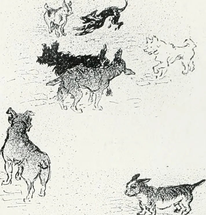 An illustration from Attraverso gli albi e le cartelle : sensazioni d'arte, 1904, leaf 237