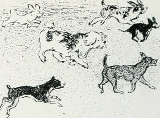 An illustration from Attraverso gli albi e le cartelle : sensazioni d'arte, 1904, leaf 237