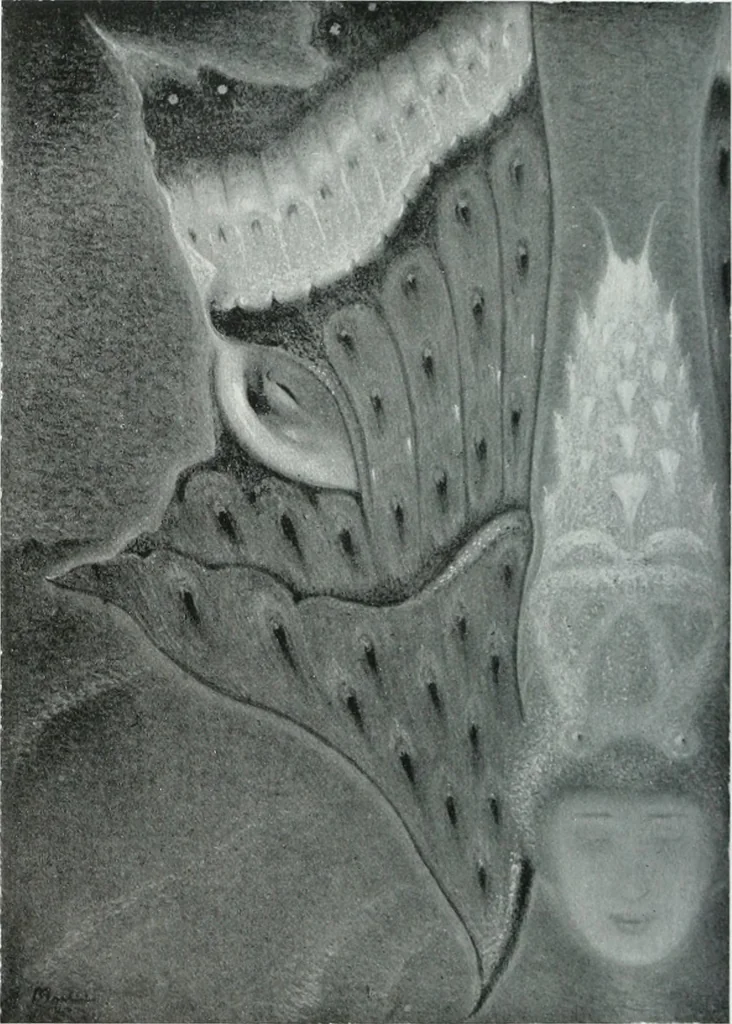 An illustration from Attraverso gli albi e le cartelle : sensazioni d'arte, 1904, leaf 263