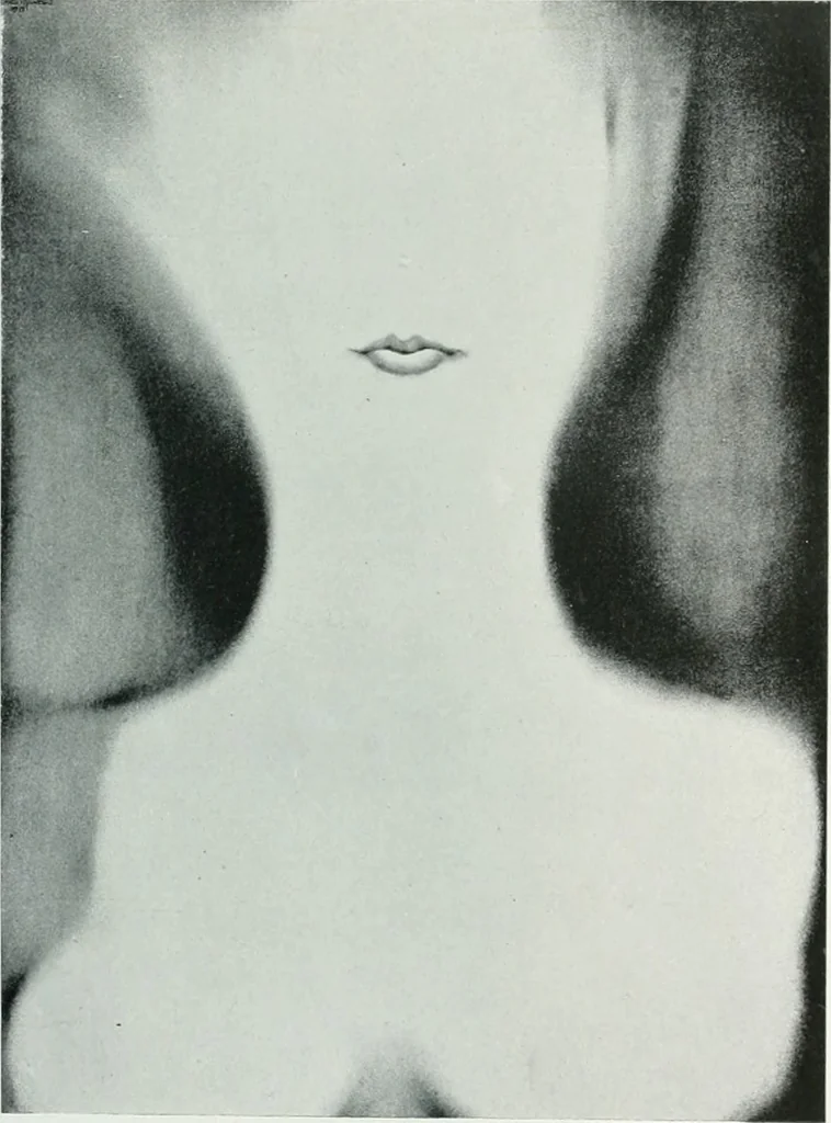 An illustration from Attraverso gli albi e le cartelle : sensazioni d'arte, 1904, leaf 272