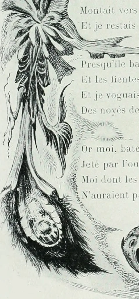 An illustration from Attraverso gli albi e le cartelle : sensazioni d'arte, 1904, leaf 282