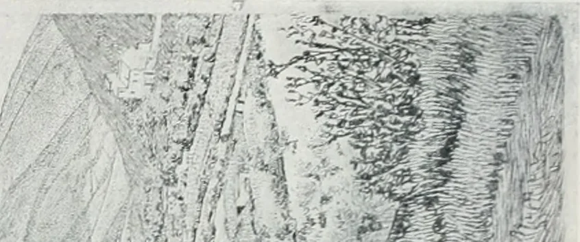 An illustration from Attraverso gli albi e le cartelle : sensazioni d'arte, 1904, leaf 47