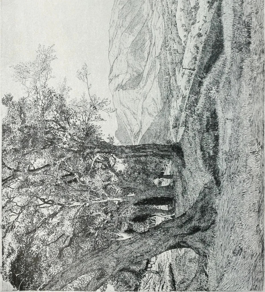 An illustration from Attraverso gli albi e le cartelle : sensazioni d'arte, 1904, leaf 47