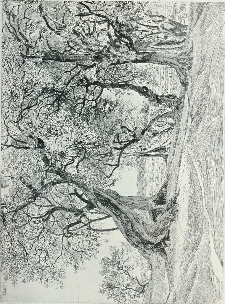 An illustration from Attraverso gli albi e le cartelle : sensazioni d'arte, 1904, leaf 48