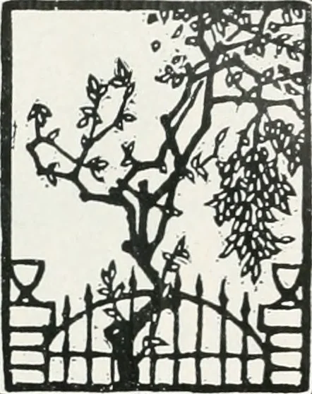 An illustration from Attraverso gli albi e le cartelle : sensazioni d'arte, 1904, leaf 134