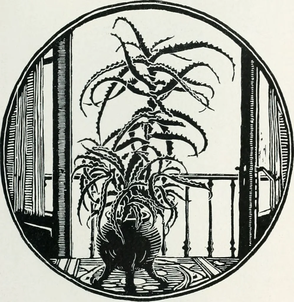 An illustration from Attraverso gli albi e le cartelle : sensazioni d'arte, 1904, leaf 138