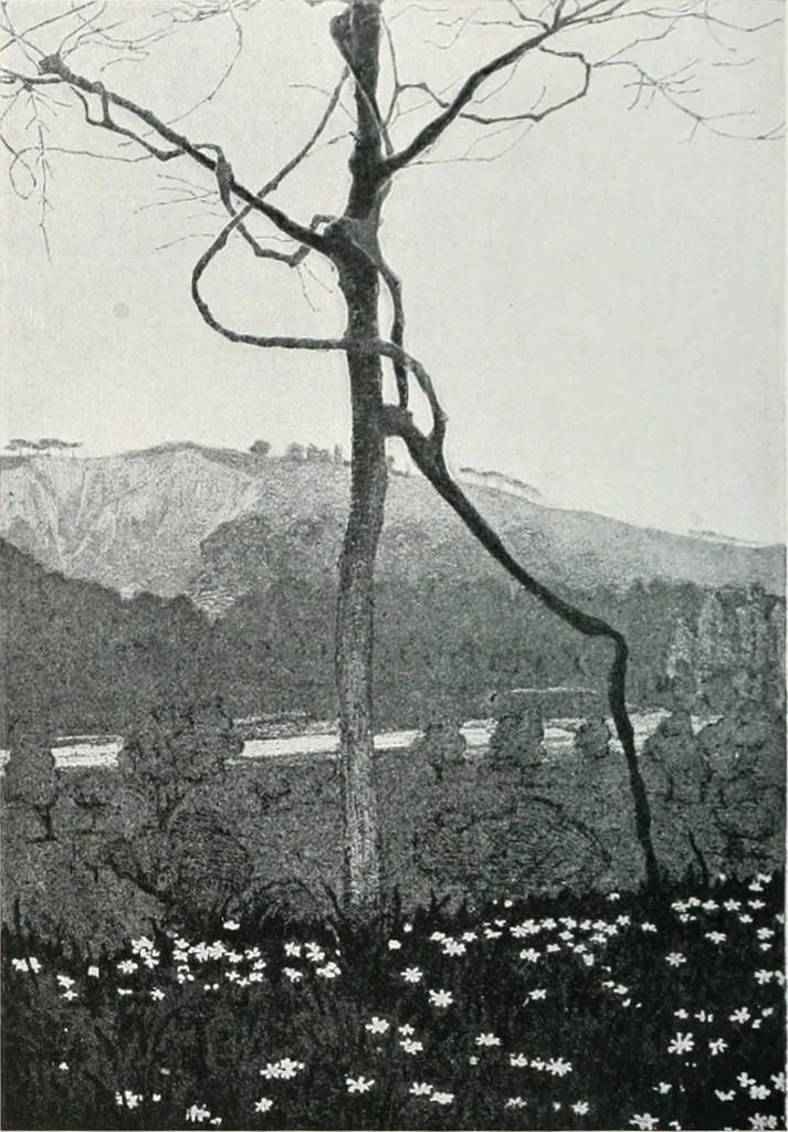 An illustration from Attraverso gli albi e le cartelle : sensazioni d'arte, 1904, leaf 147