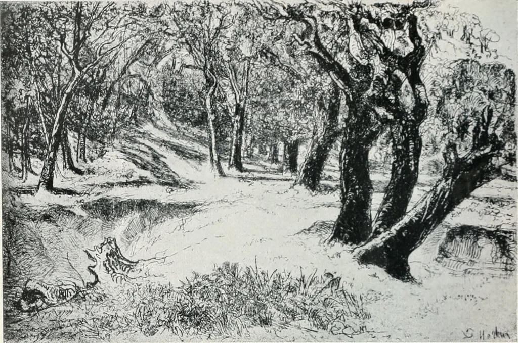 An illustration from Attraverso gli albi e le cartelle : sensazioni d'arte, 1904, leaf 227