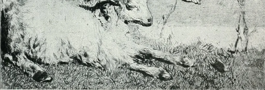 An illustration from Attraverso gli albi e le cartelle : sensazioni d'arte, 1904, leaf 272