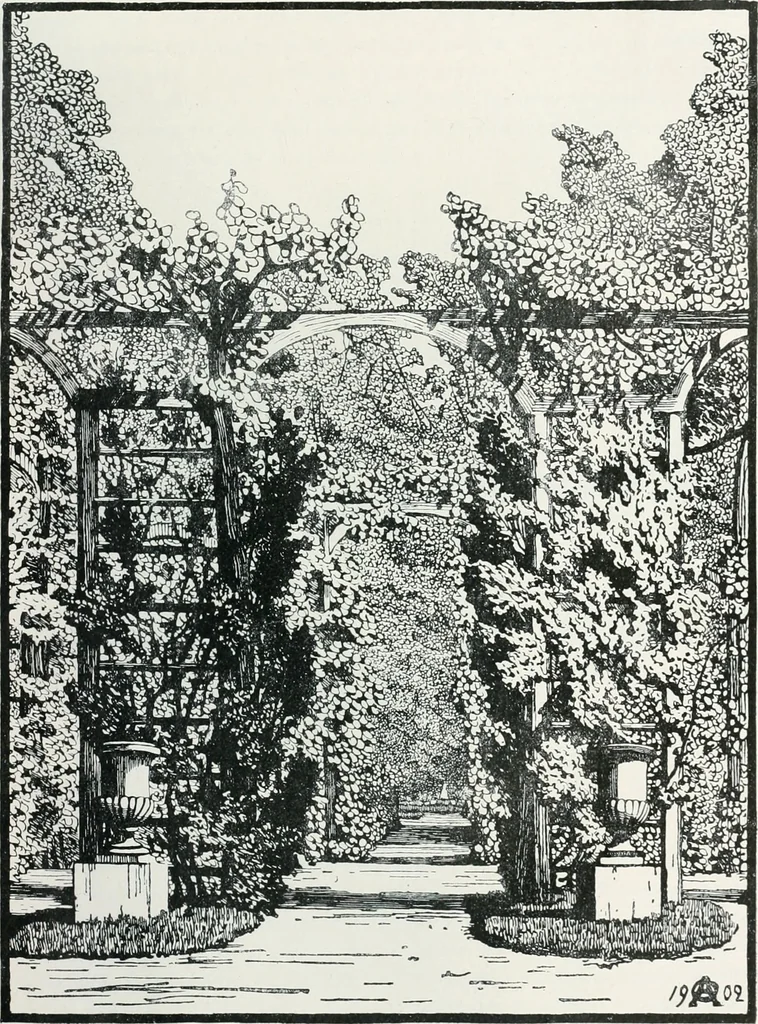 An illustration from Attraverso gli albi e le cartelle : sensazioni d'arte, 1904, leaf 310