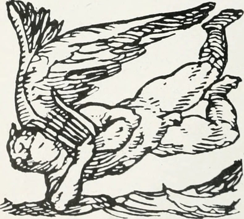 An illustration from Attraverso gli albi e le cartelle : sensazioni d'arte, 1904, leaf 379